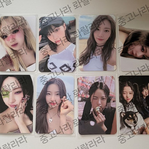 르세라핌 포카 일괄양도