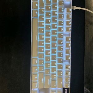 apex pro tkl gen3 화이트