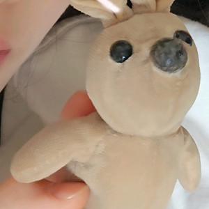 몬테소리 캥거루 인형 삽니다