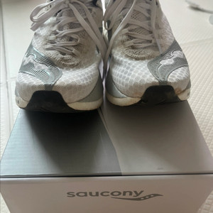 Saucony 엔돌핀 프로4 250mm