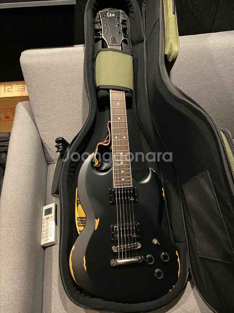 ESP LTD Fredriksen 일렉기타 팝니다--0