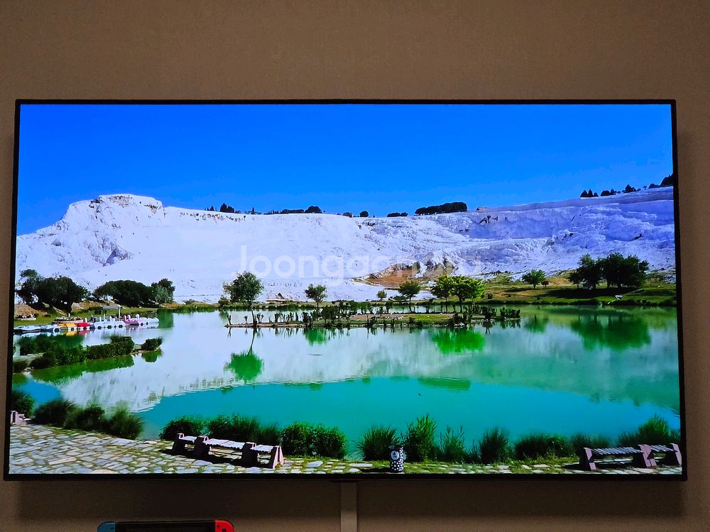 LG 55인치 OLED TV--0
