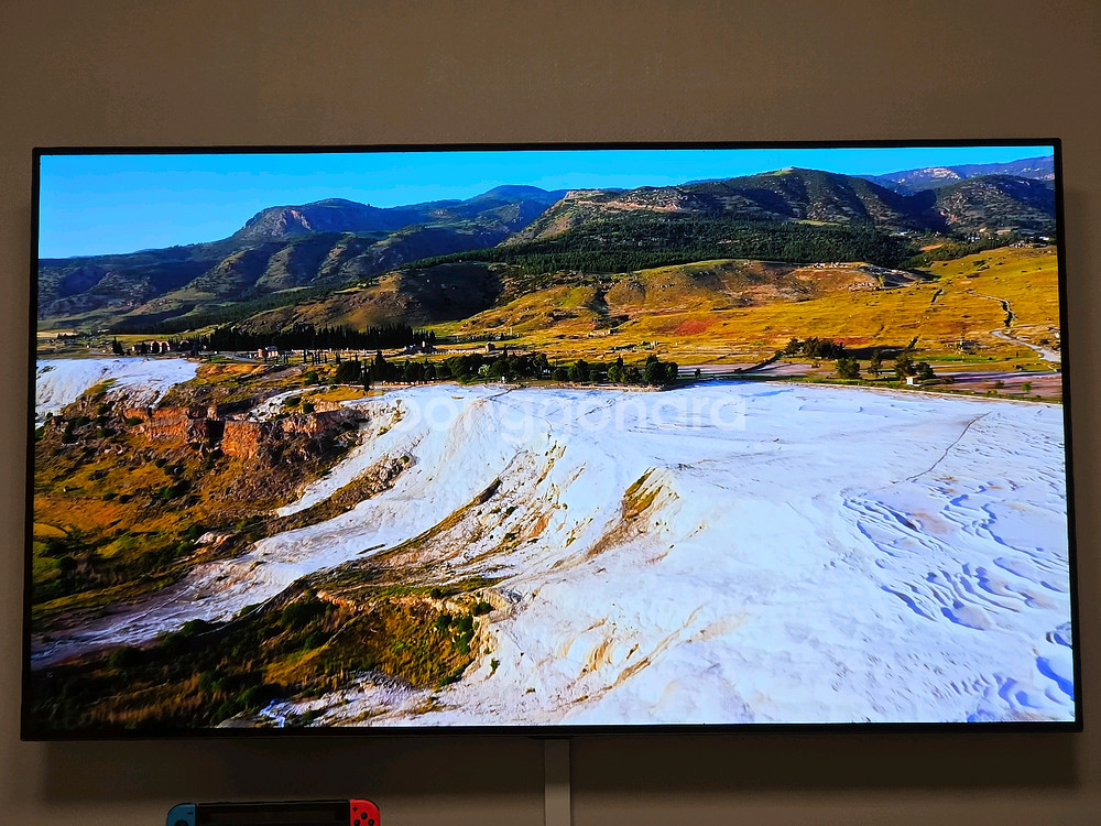 LG 55인치 OLED TV--2