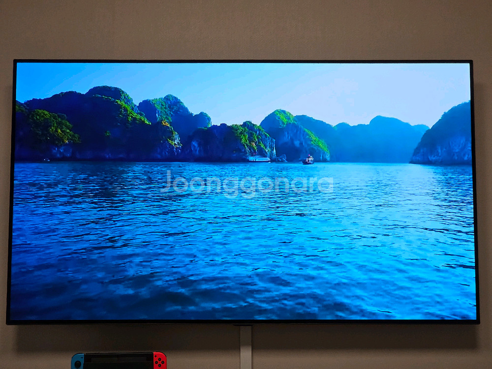 LG 55인치 OLED TV--5