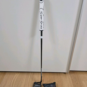 테일러메이드 퍼터 스파이더 투어 (커스텀 34인치)