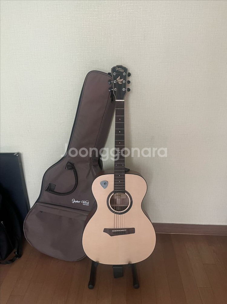 고퍼우드 i110 어쿠스틱 통기타--0