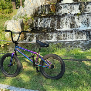 카멜레온 Bmx 18인치 자전거 팝니다