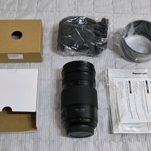파나소닉 루믹스 G VARIO 100-300mm 신형