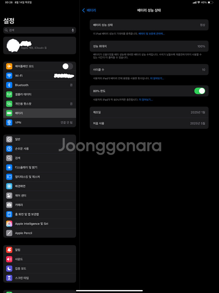 아이패드 프로 m4 13인치 셀룰러--0