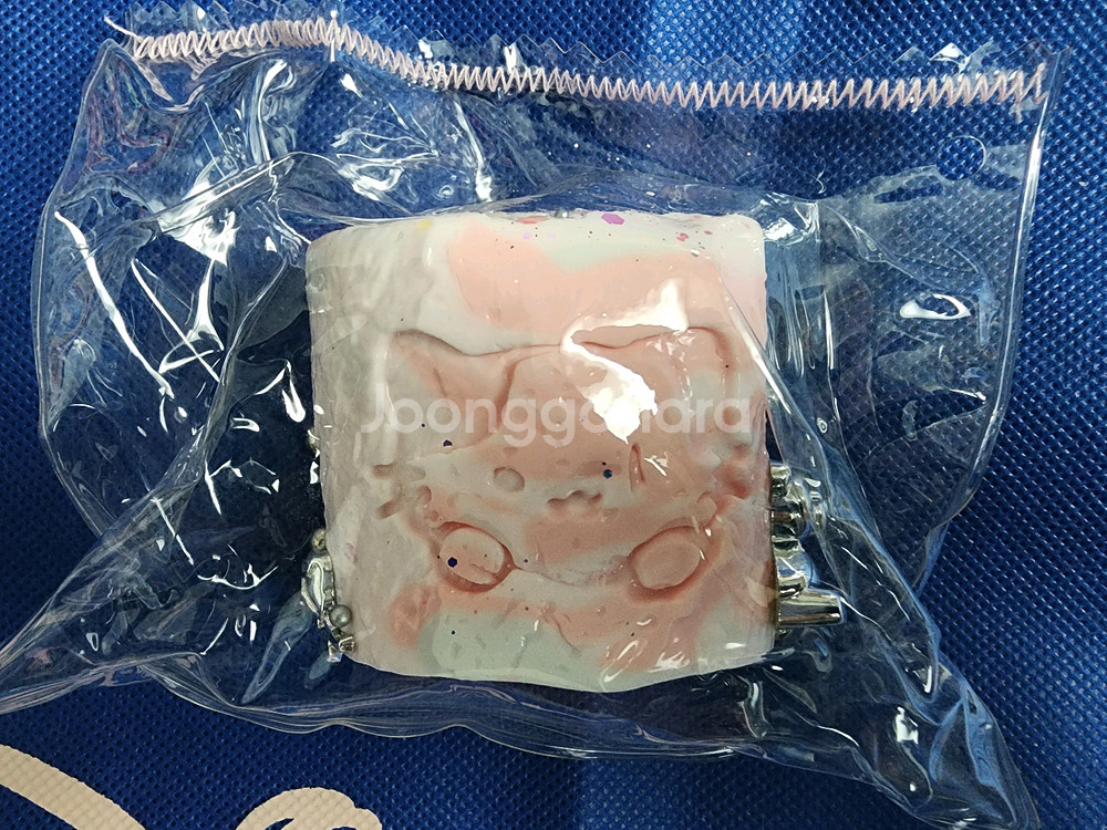수제말랑이 처분--0