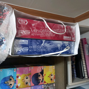 RG 뉴건담 & RG 사자비 클리어컬러 팝니다