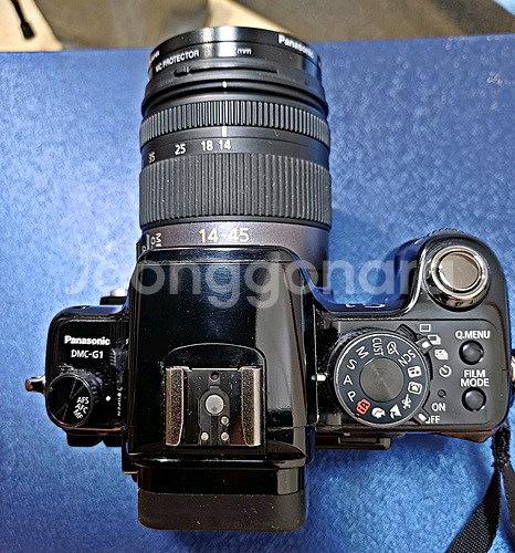 루믹스 DMC-G1 카메라--1
