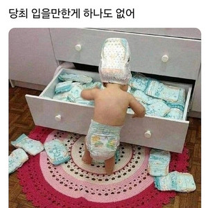 20만이상 인스타 삽니다 연락주세요