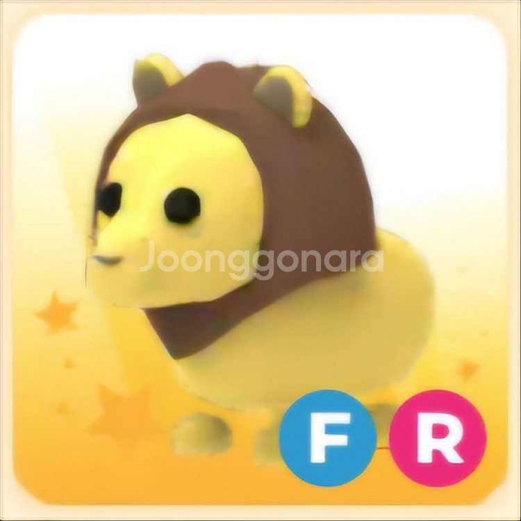 입양하세요 FR 사자--0