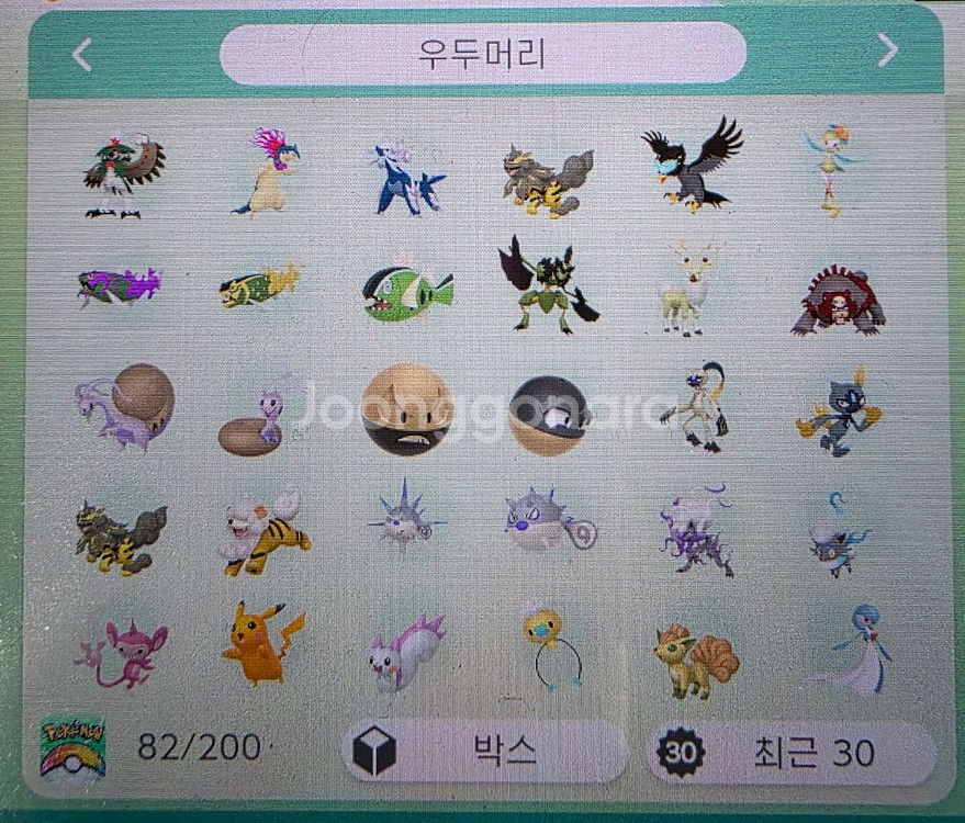 포켓몬 우두머리 이로치 분양--0