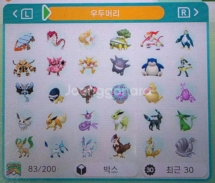 포켓몬 우두머리 이로치 분양--1