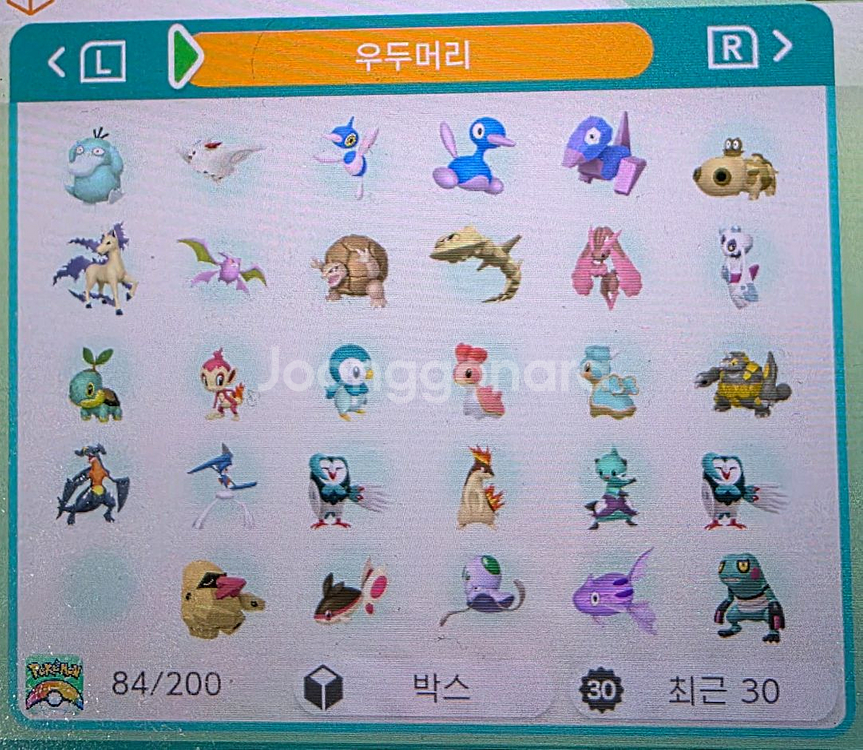 포켓몬 우두머리 이로치 분양--2