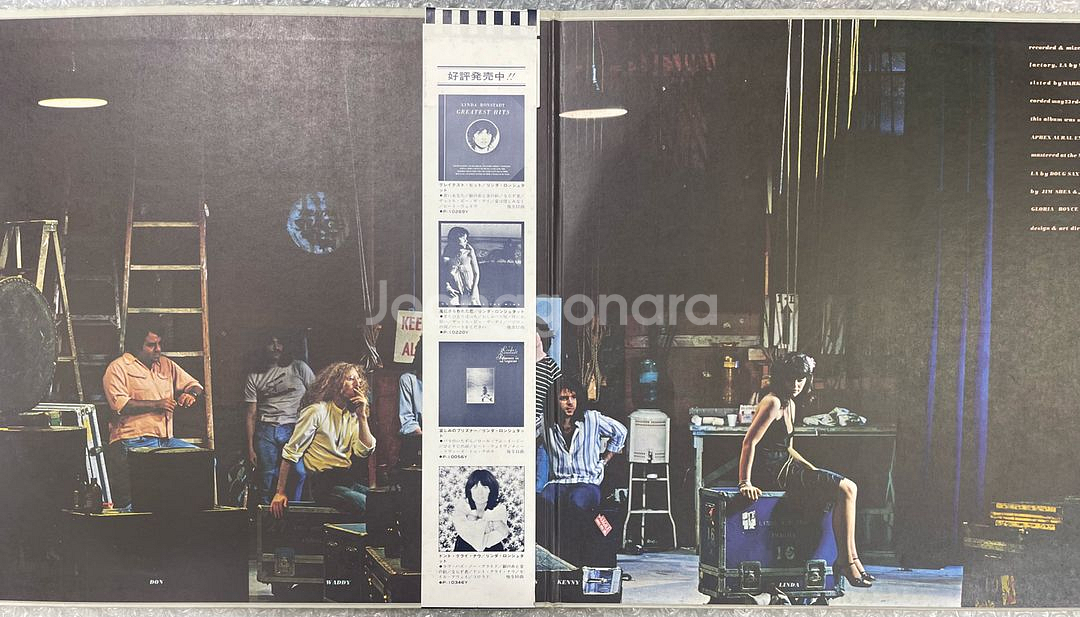 린다 론스태드 / Simple Dreams 엘피--2