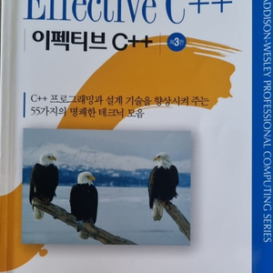 이펙티브 C++ 3판