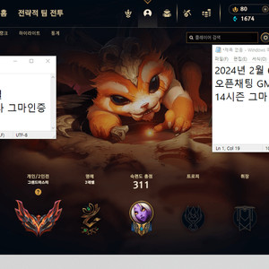 리그오브레전드 롤 LOL 맡김 강의 듀오 전문 GM강사