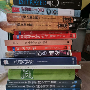 소설. 에세이. 잡지 등