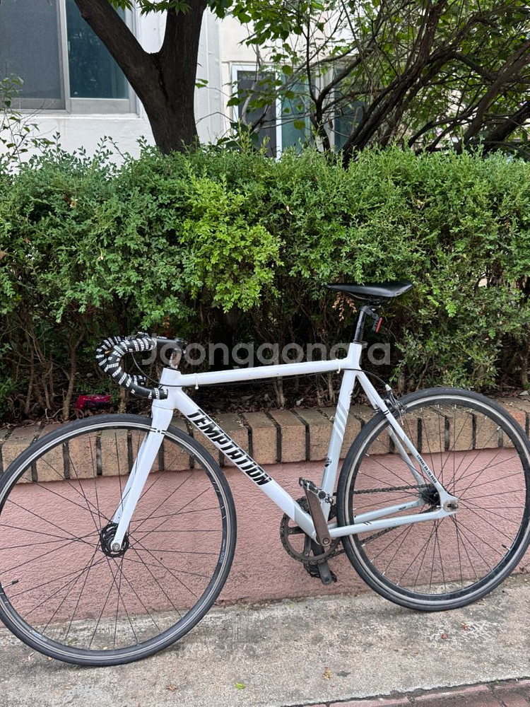 픽시 자전거--0