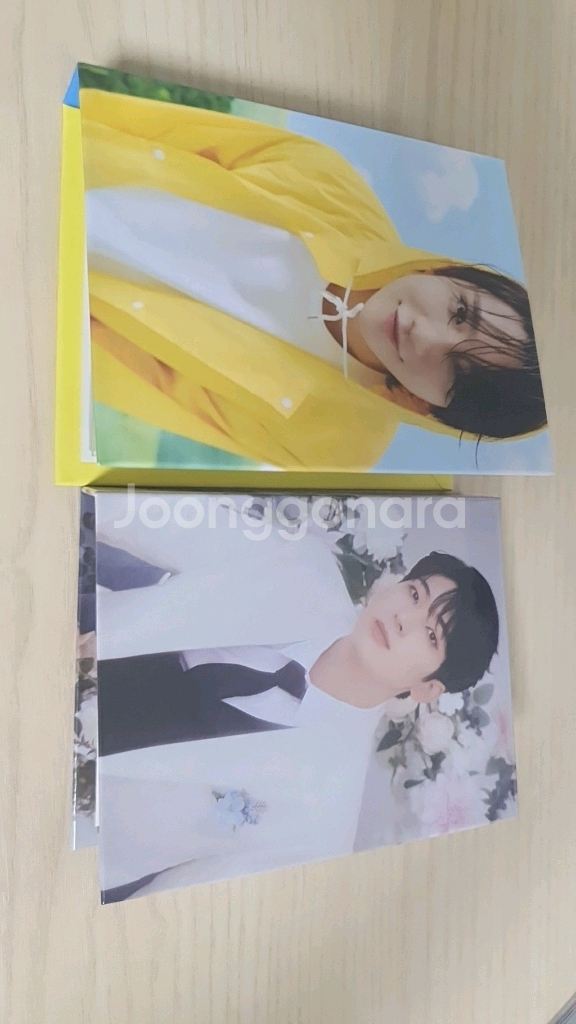 급처) 세븐틴포카,페더썬 헤븐 fml 캐럿반 전체 판매--2