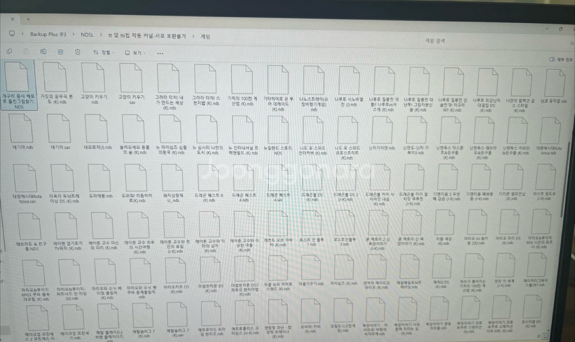 닌텐도 ds칩--1