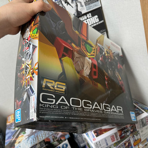 rg 가오가이어