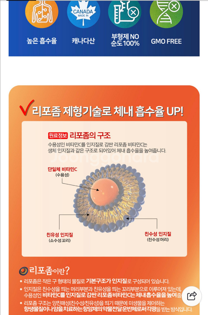 리포조말 비타민 멀티플랙스 1050--3