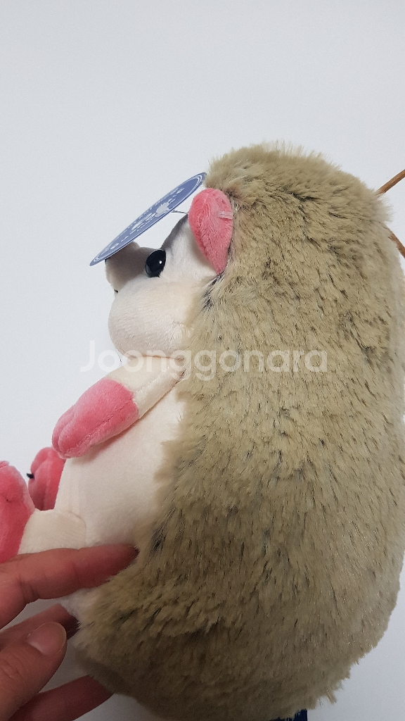 새상품 고슴도치인형--2