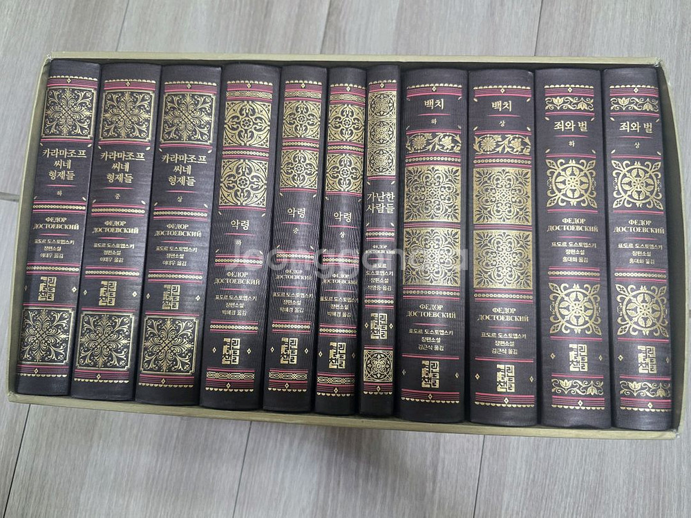 도스토옙스키 탄생 200주년 기념 컬렉션--1