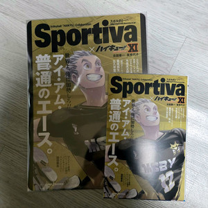 하이큐 소설판 sportiva 스포티바 보쿠토 특전 포