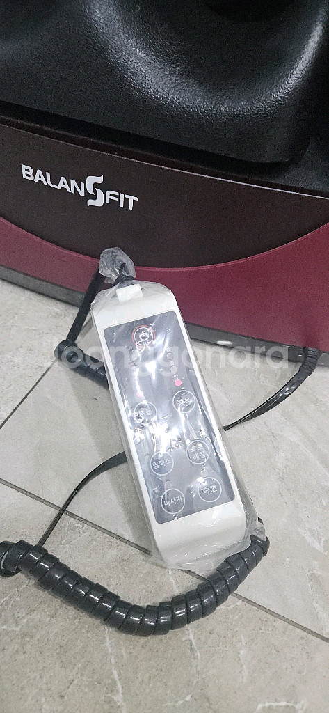 발란스핏 프로 맛사지기--1
