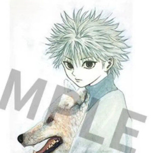 헌터헌터 키르아 태피스트리 중프샵 점프샵