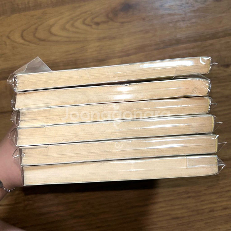 뱀파이어 헌터D 키쿠치 히데유키 소설 2~6권 개별세트--4