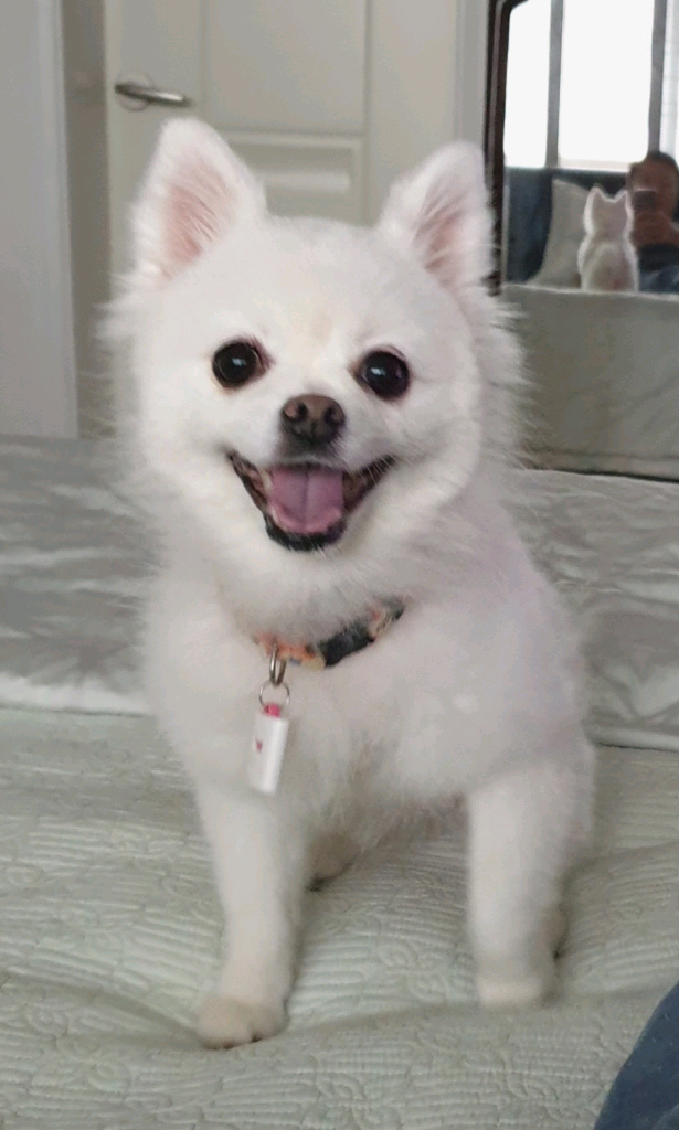 프로필 이미지