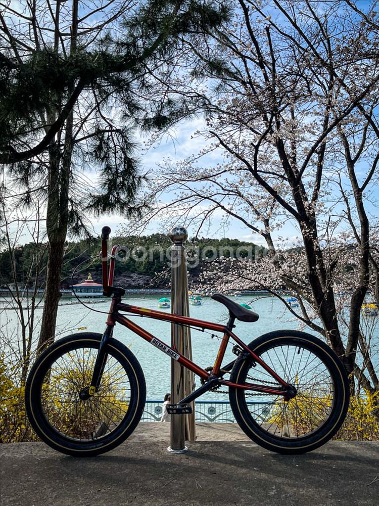 BMX 빠르게 넘깁니다!--1