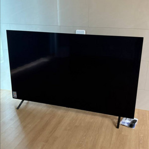 LG OLED 77인치 TV 모델