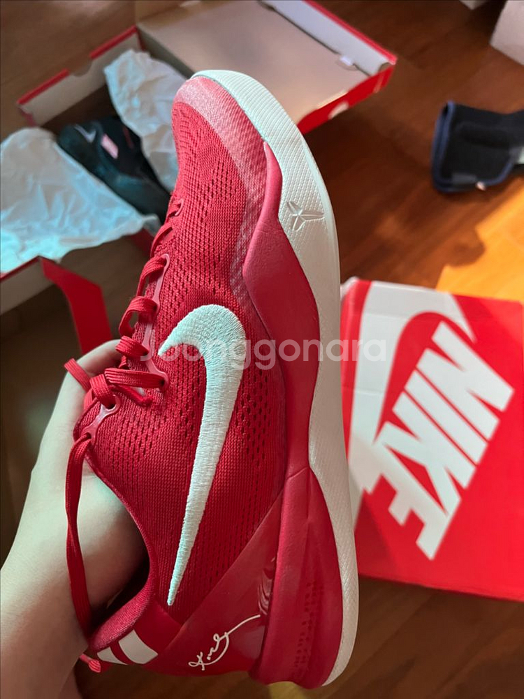 코비 8 유니버시티--3