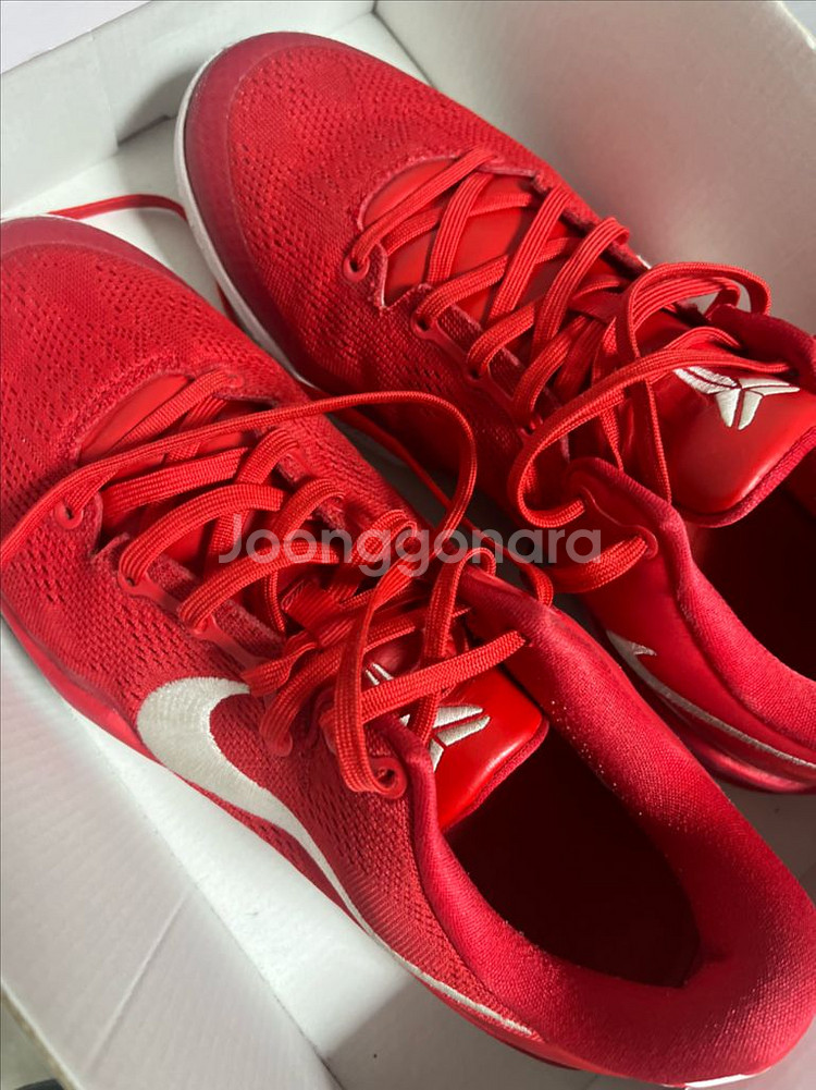 코비 8 유니버시티--0