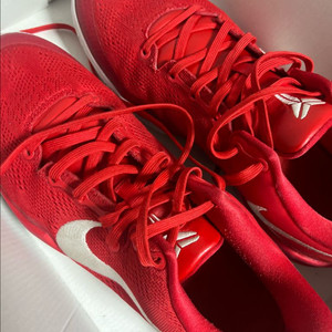 코비 8 유니버시티