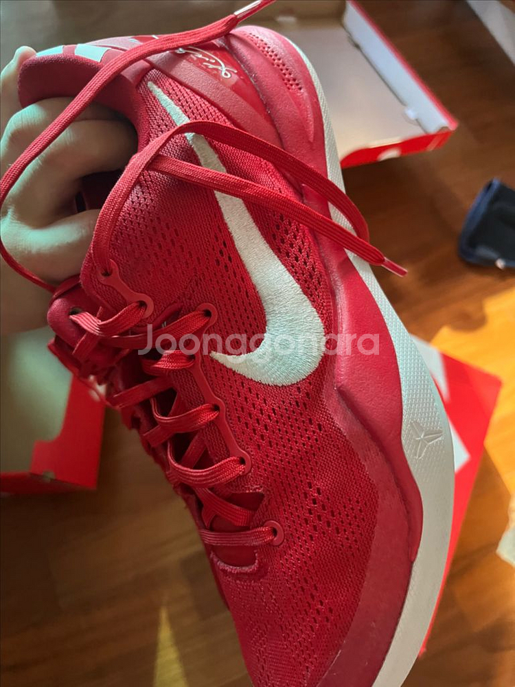 코비 8 유니버시티--2