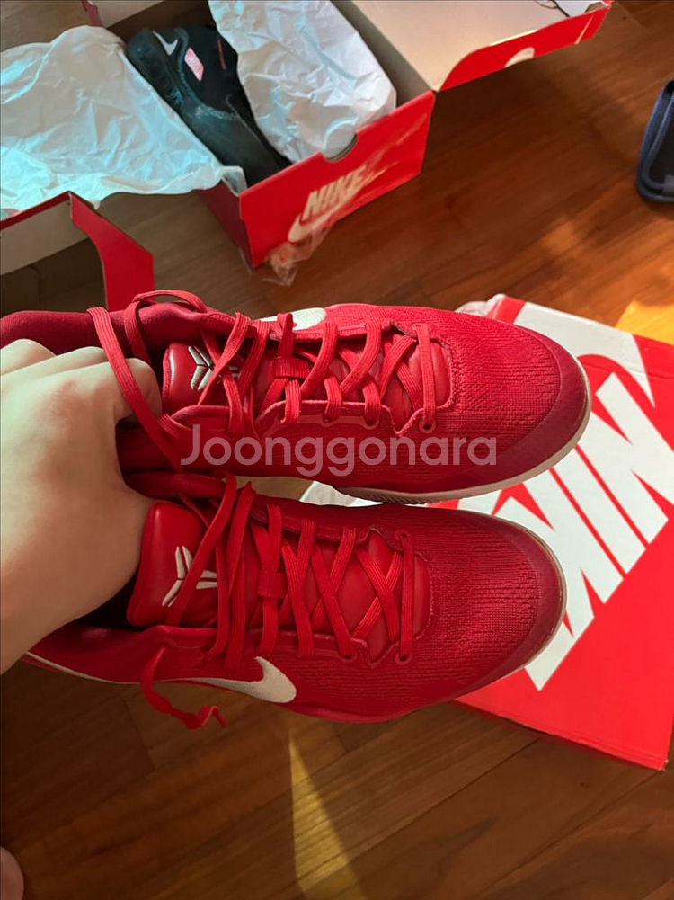 코비 8 유니버시티--1