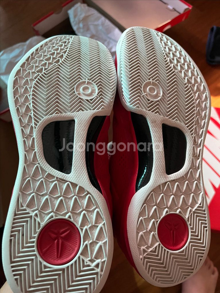 코비 8 유니버시티--4