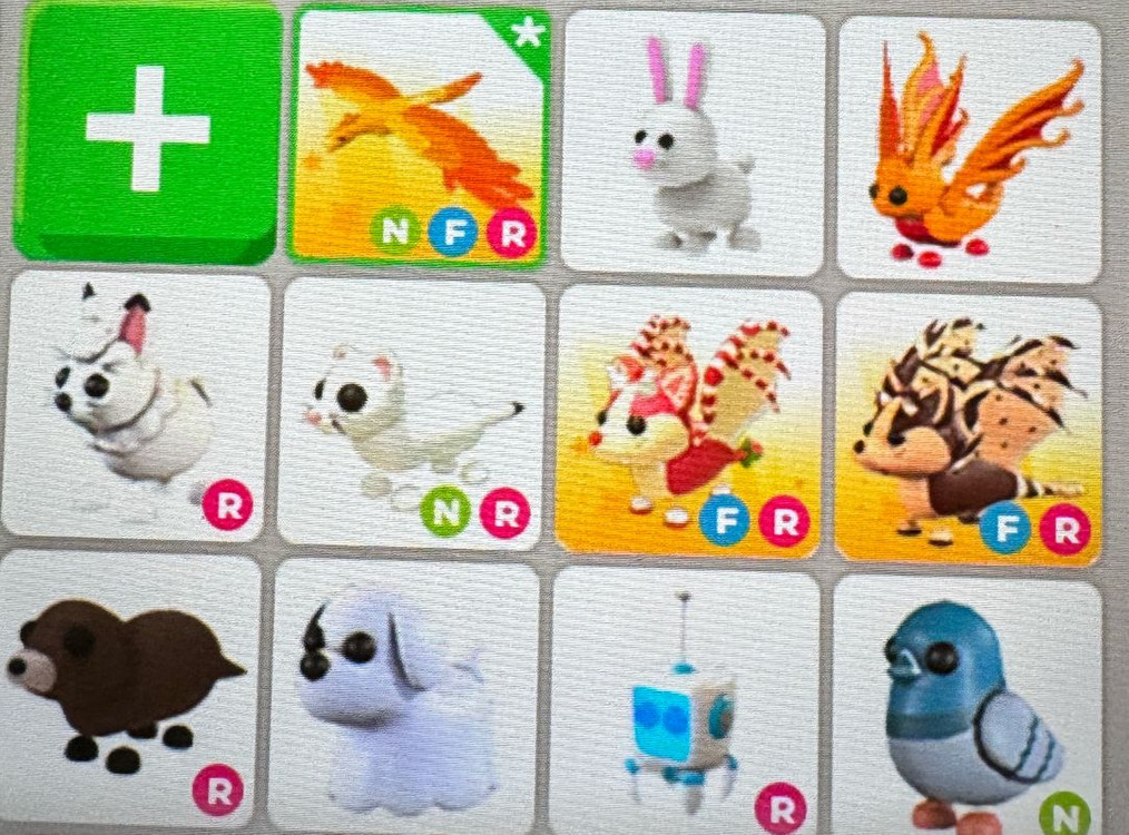 입양하세요 펫팔아요 이미지