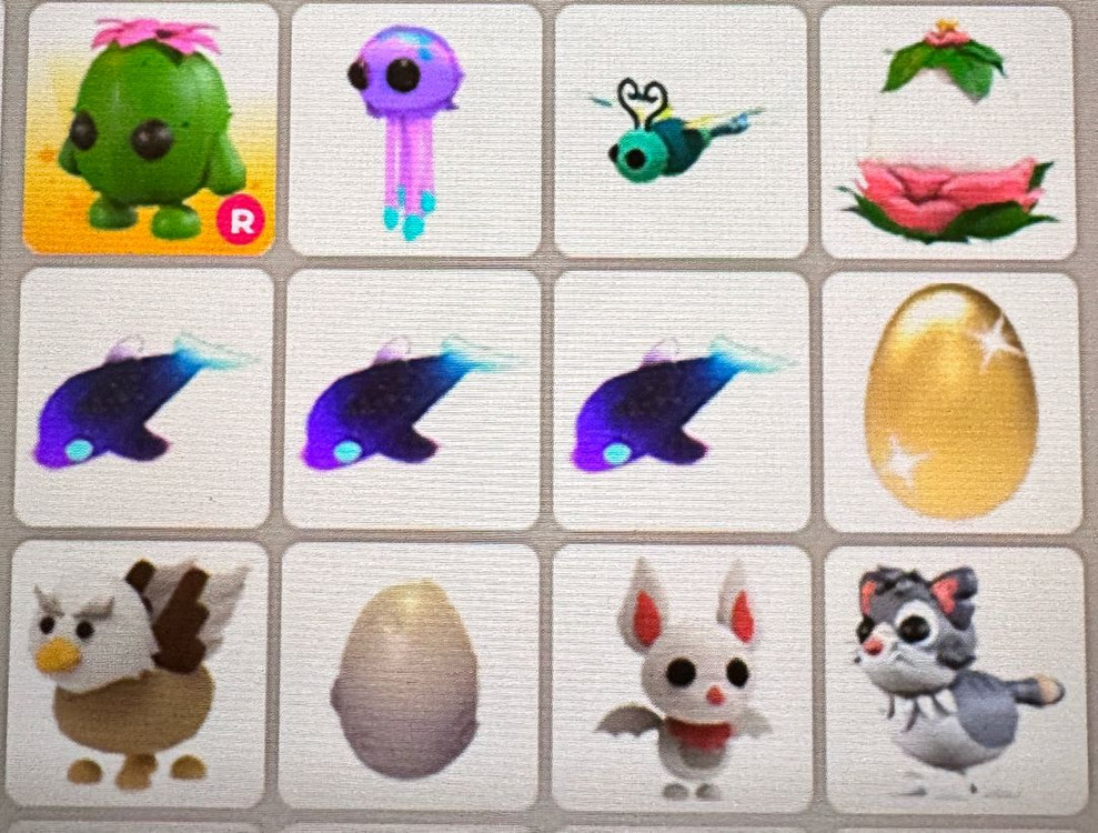 입양하세요 펫팔아요 이미지