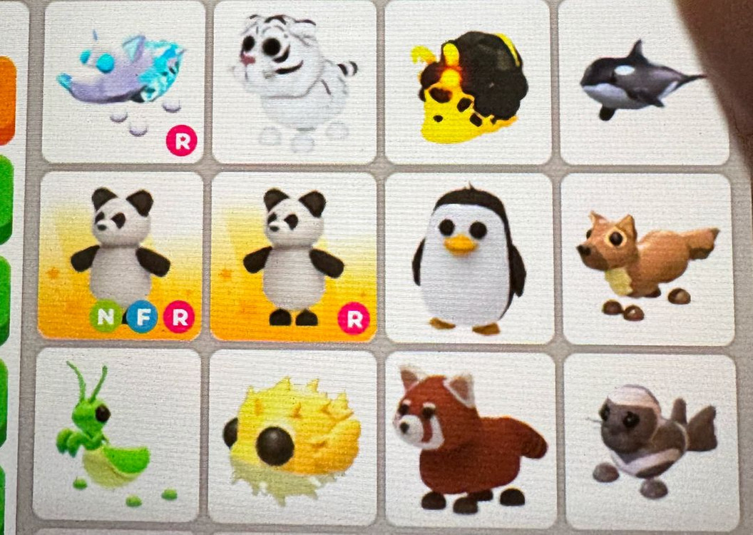 입양하세요 펫팔아요 이미지