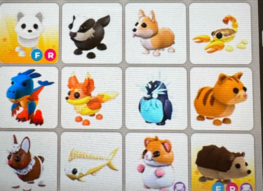 입양하세요 펫팔아요 이미지