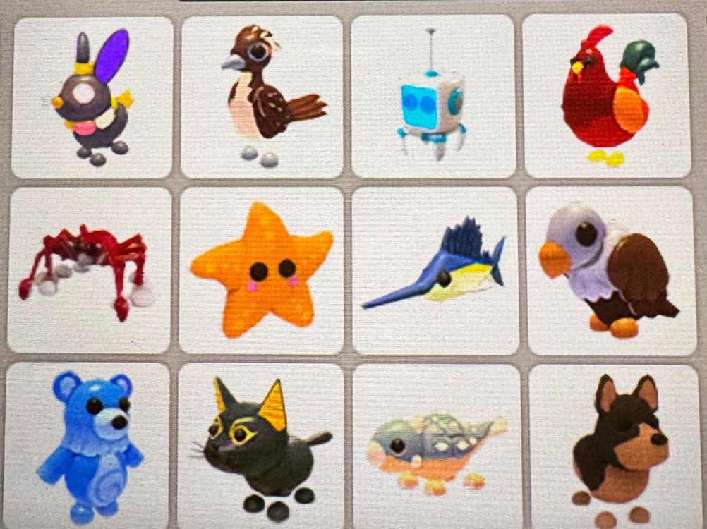 입양하세요 펫팔아요 이미지